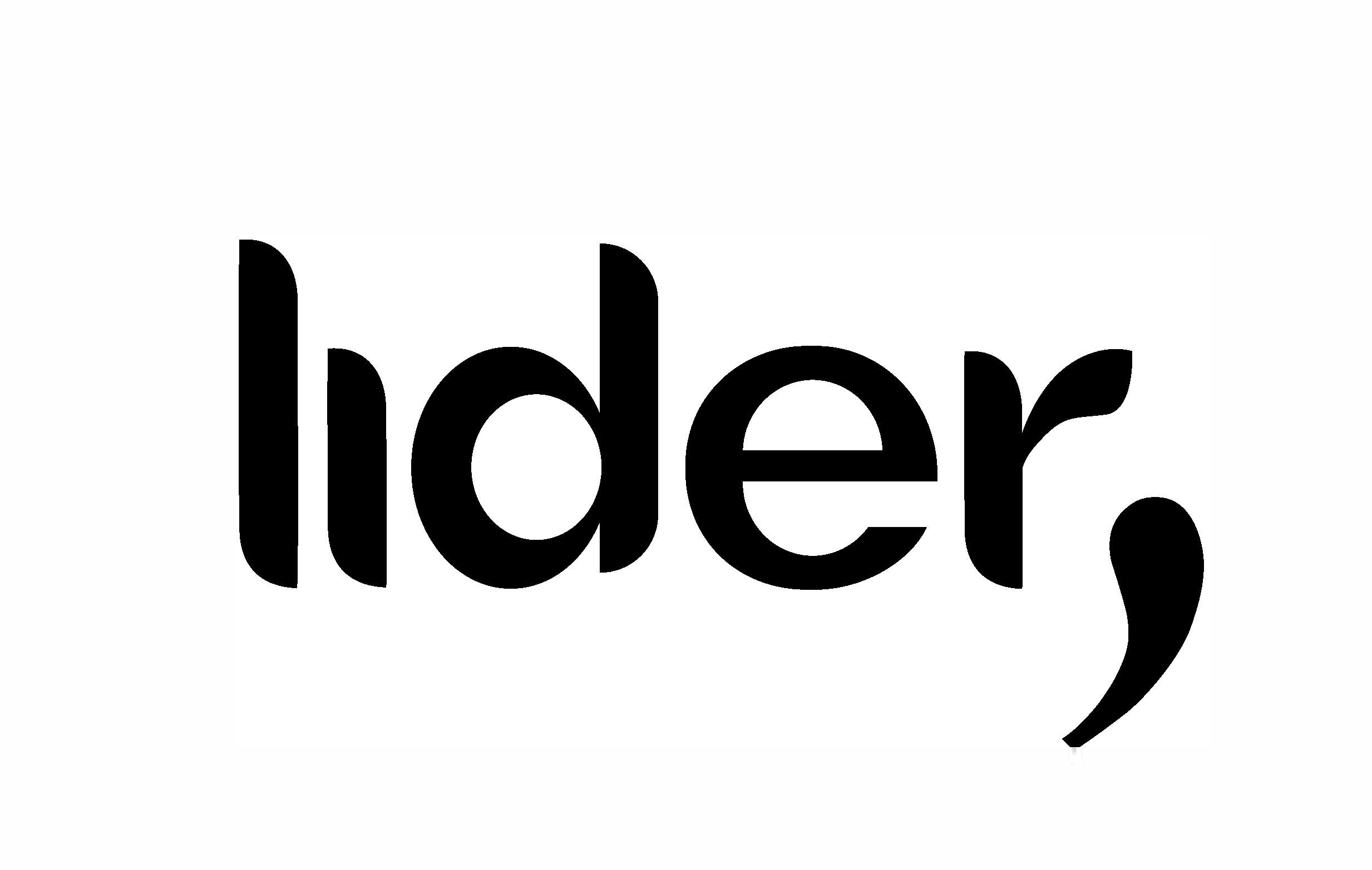 Lider Interiores