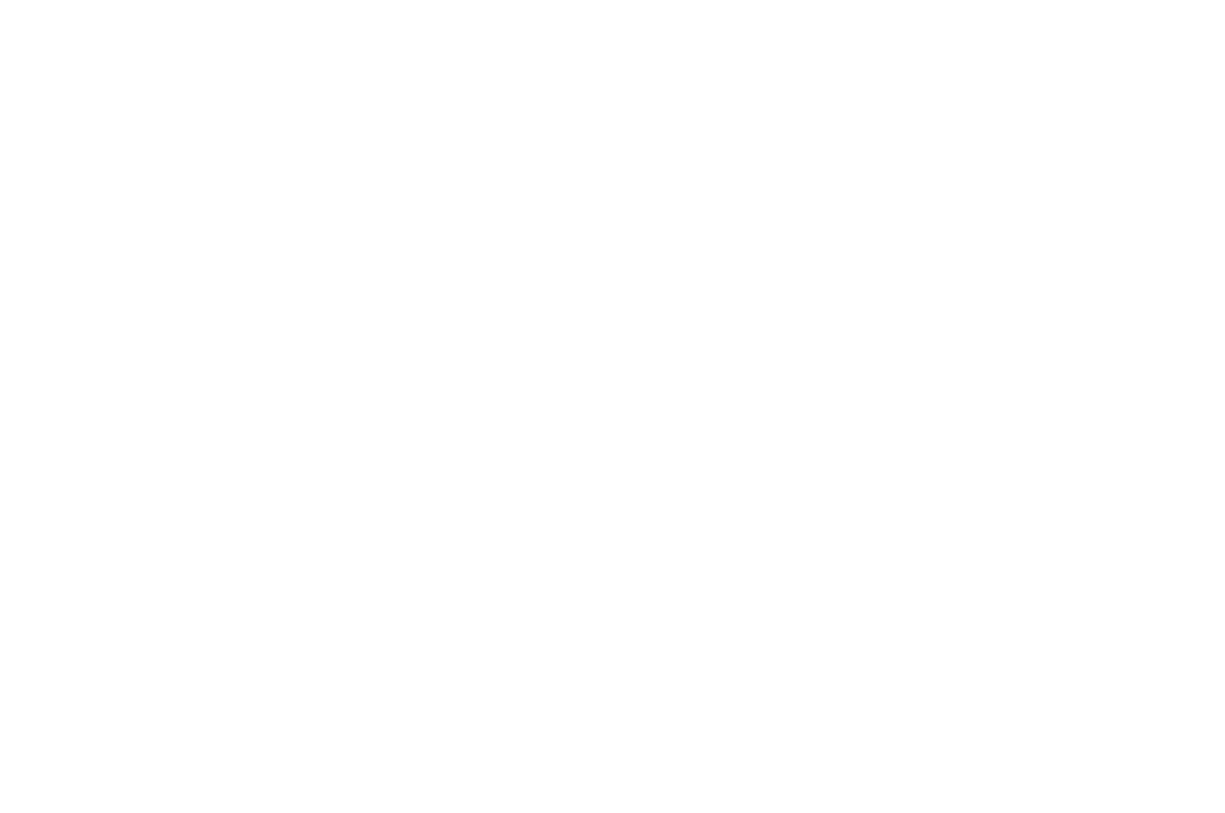 Seleção oficial do Cine Amadora 2026