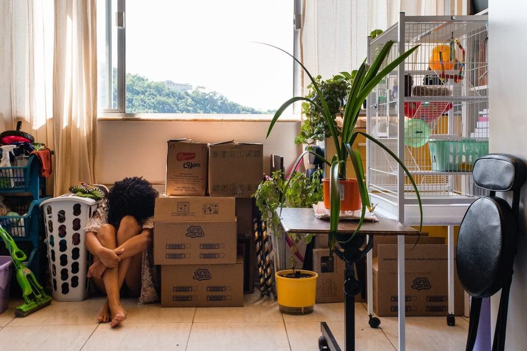 Pessoa sentada no chão, cercada por caixas de cartão, plantas, gaiola e cadeiras, em ambiente com parede branca e luz natural diffusa.