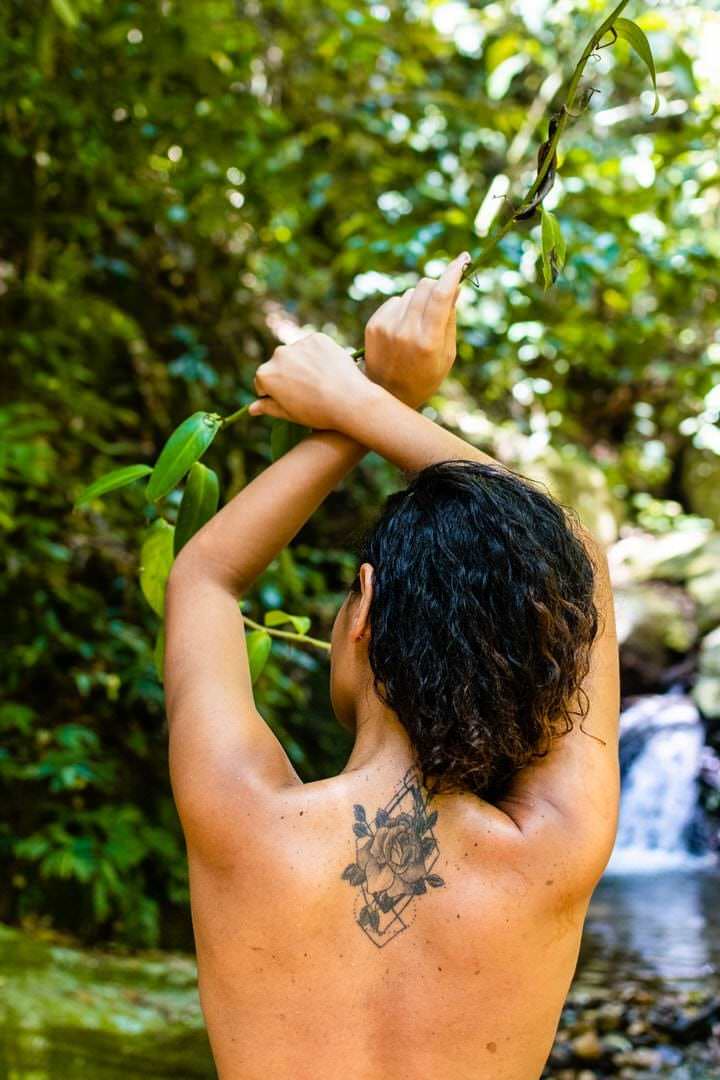Um homem segura uma planta em um ambiente com árvores e água no fundo, iluminação natural suave.