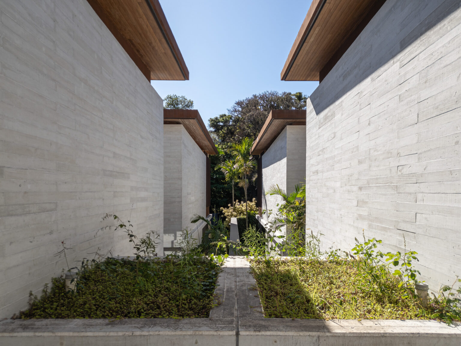 scc_Pindorama_18062025_0166-HDR