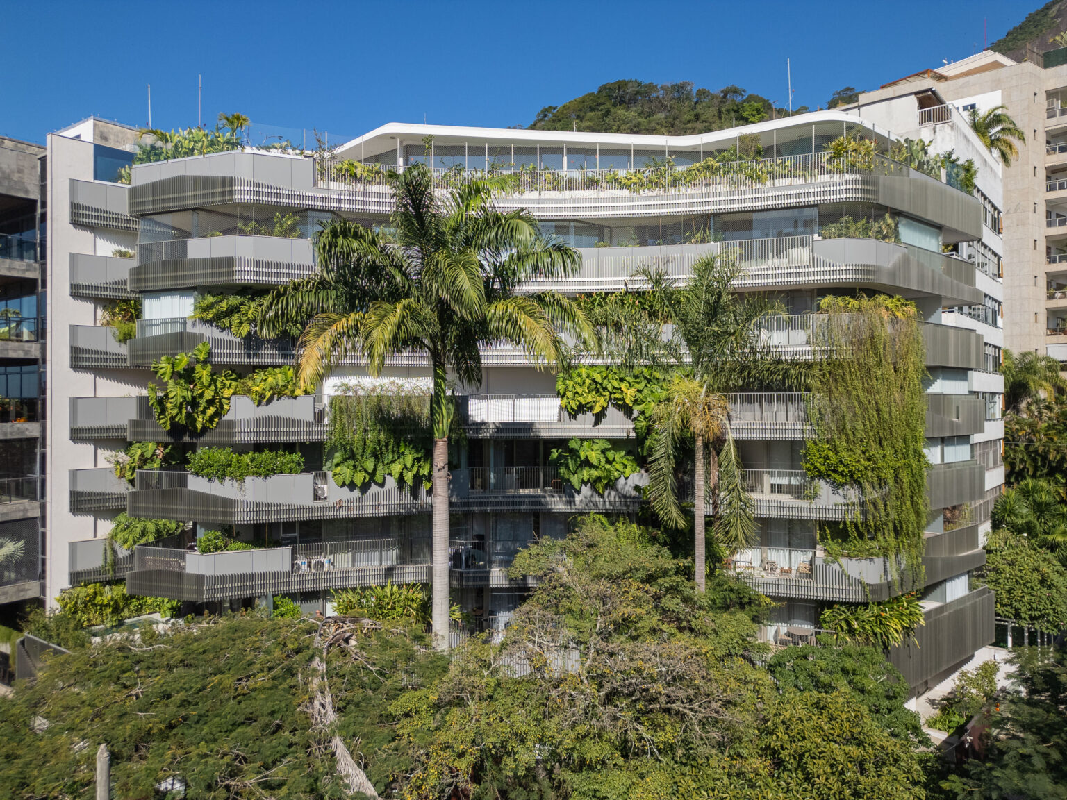 scc_brisa_16062025_0236-HDR